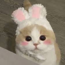 Indah Permatasari avatar